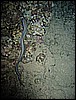 IMG_1103.JPG