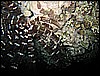 IMG_1113.JPG