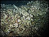 IMG_1114.JPG