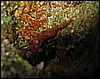 IMG_1118.JPG