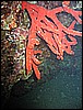 IMG_1125.JPG