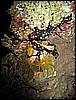 IMG_1128.JPG