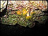 IMG_1129.JPG