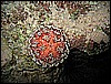 IMG_1132.JPG