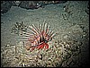 IMG_1134.JPG