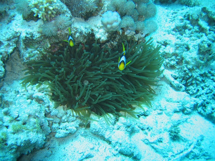 IMG_1145.JPG