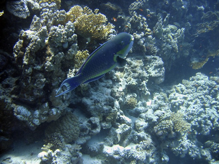 IMG_1153.JPG