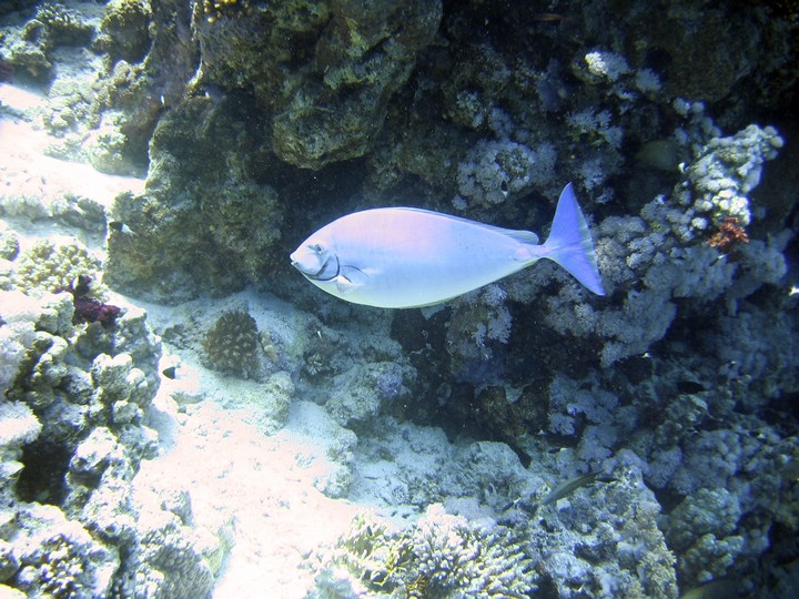 IMG_1181.JPG