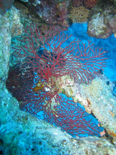 IMG_1202.JPG