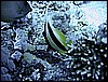 IMG_1137.JPG