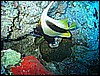 IMG_1138.JPG