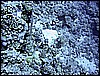 IMG_1142.JPG