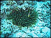 IMG_1145.JPG