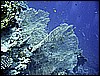 IMG_1152.JPG