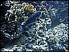IMG_1153.JPG