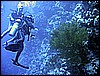 IMG_1156.JPG