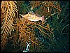 IMG_1157.JPG