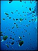 IMG_1162.JPG