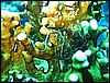 IMG_1166.JPG