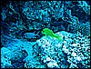 IMG_1167.JPG