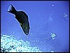 IMG_1168.JPG