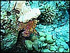 IMG_1169.JPG
