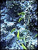 IMG_1171.JPG