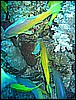 IMG_1172.JPG