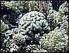 IMG_1175.JPG