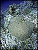 IMG_1177.JPG