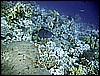 IMG_1178.JPG