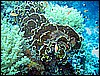 IMG_1179.JPG