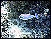 IMG_1181.JPG