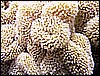 IMG_1185.JPG