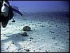 IMG_1191.JPG