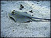 IMG_1193.JPG