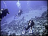 IMG_1196.JPG