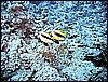 IMG_1197.JPG