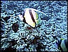 IMG_1198.JPG