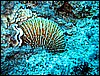 IMG_1199.JPG