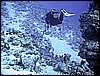 IMG_1201.JPG