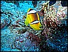 IMG_1203.JPG