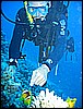 IMG_1204.JPG