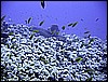 IMG_1206.JPG