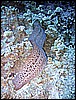 IMG_1208.JPG