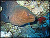 IMG_1211.JPG