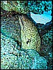 IMG_1216.JPG