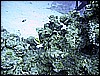 IMG_1217.JPG
