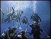 IMG_1224.JPG