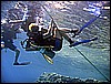 IMG_1227.JPG